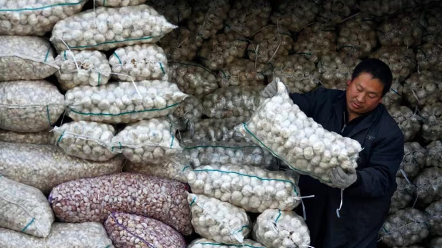 चिनियाँ लसुनले राष्ट्रिय सुरक्षामा जोखिम !