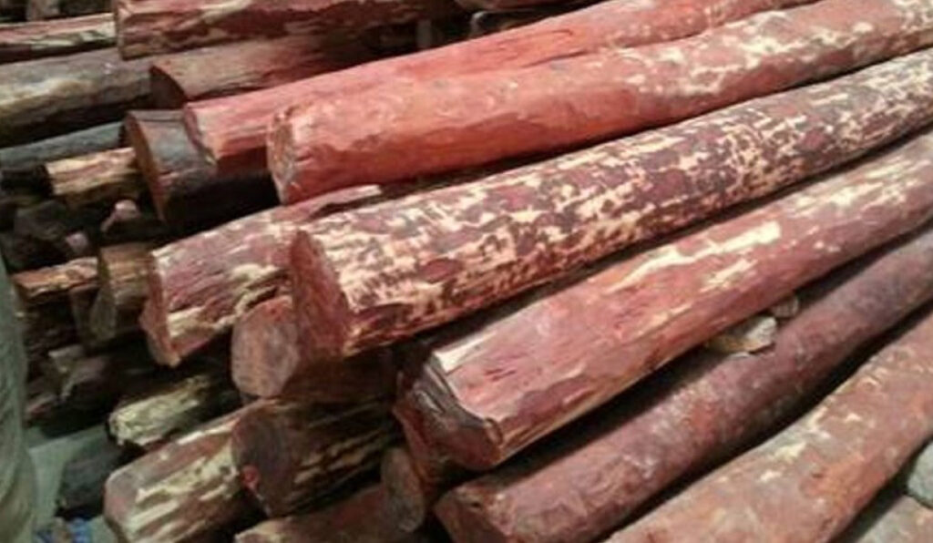 भारतले लैजान चासो नदिँदा एक लाख ७३ हजार केजी रक्तचन्दन कुहिन थाल्यो