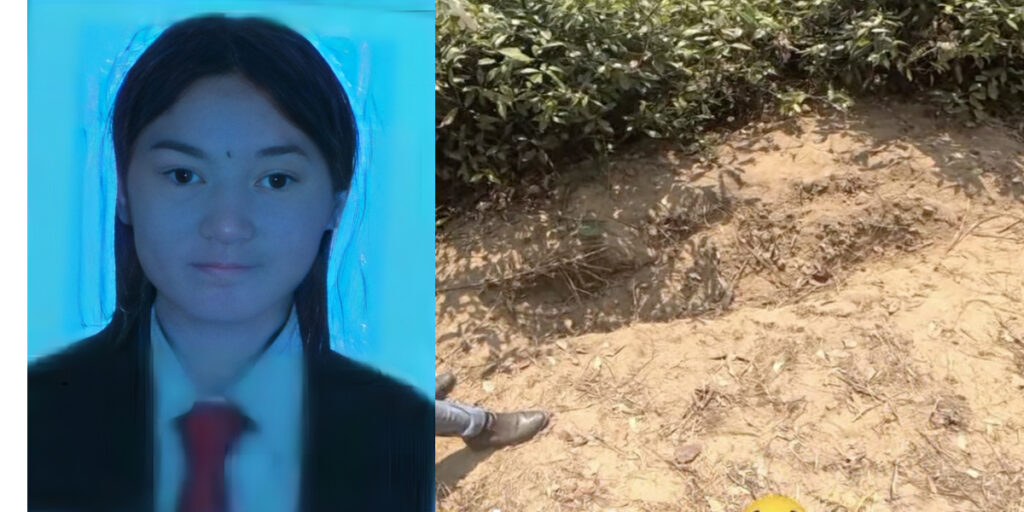 चिन्तामग्न छ तारेभीरः कस्ले ? किन ? मार्यो बुढानीलकण्ठ स्कूल जाँदै गरेकी सुष्मालाई