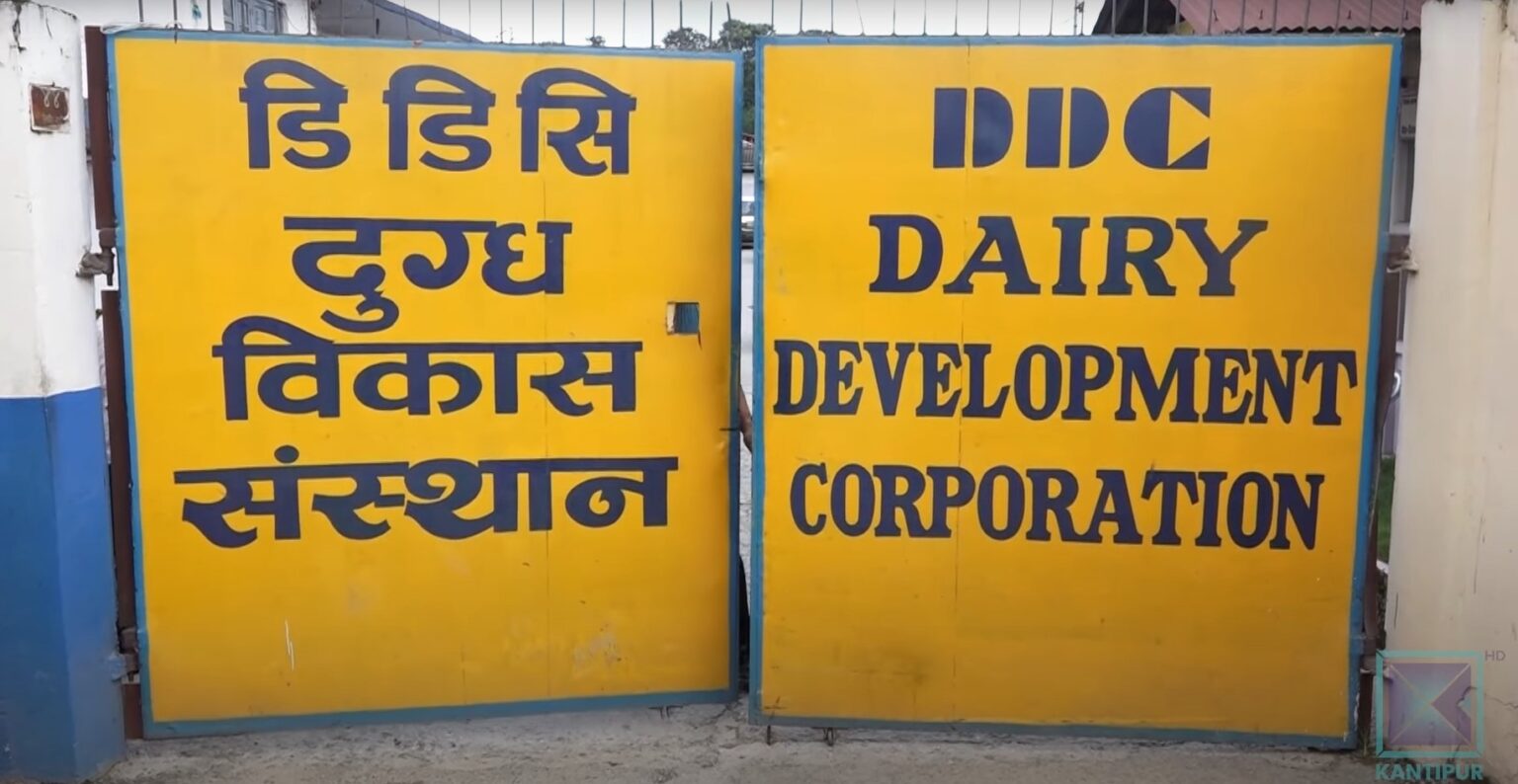 बिक्री भएन संस्थानको डेढ अर्बको दुग्ध पदार्थ, धेरै दूध र पनिर खान उपभोक्तासँग आग्रह