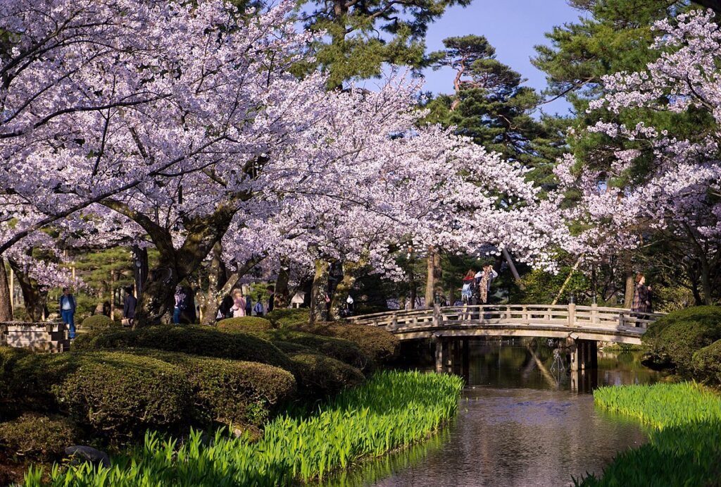 सुरु भयो प्रेम र आकर्षणको भाव व्यक्त गर्ने ऋतुराज बसन्त